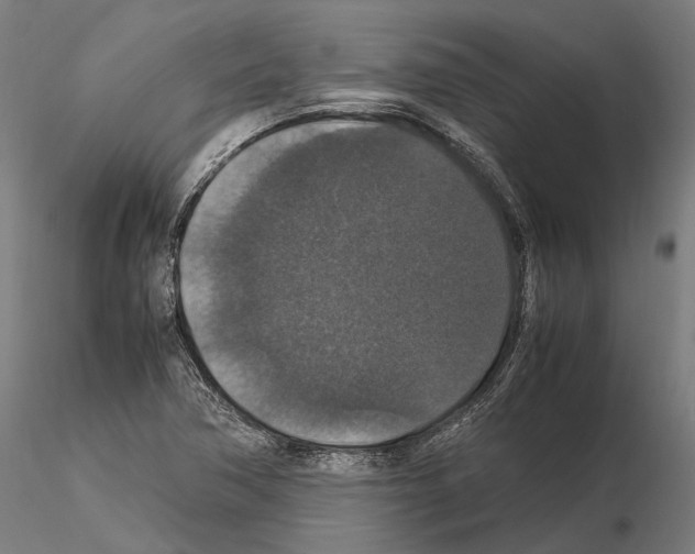 X0000115121362200912081335