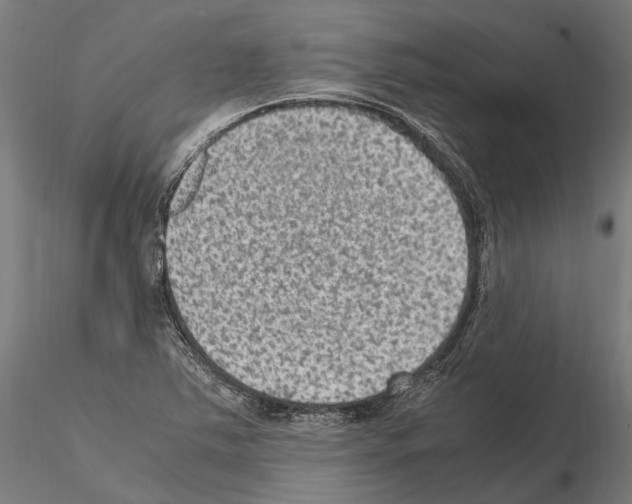 X0000115121363200912081335