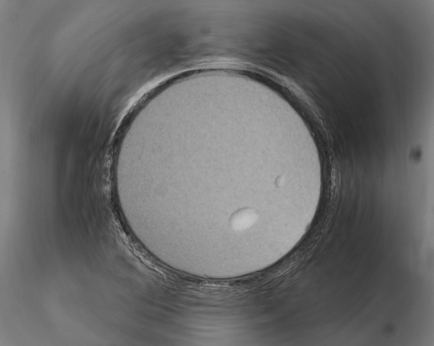 X0000115121364200912081335