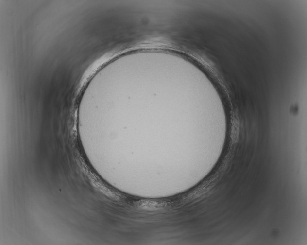 X0000115121366200912081335