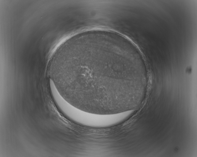 X0000115121367200912081335