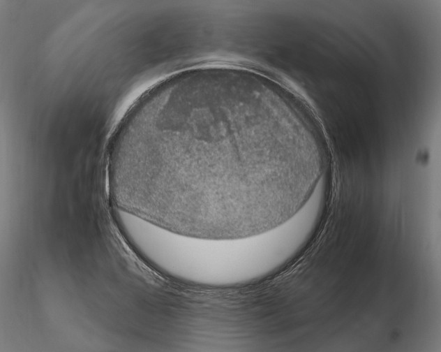 X0000115121368200912081335