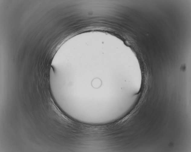 X0000115121369200912081335