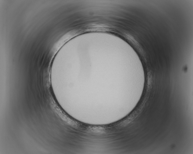 X0000115121370200912081335