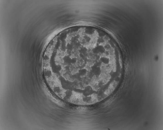 X0000115121371200912081335