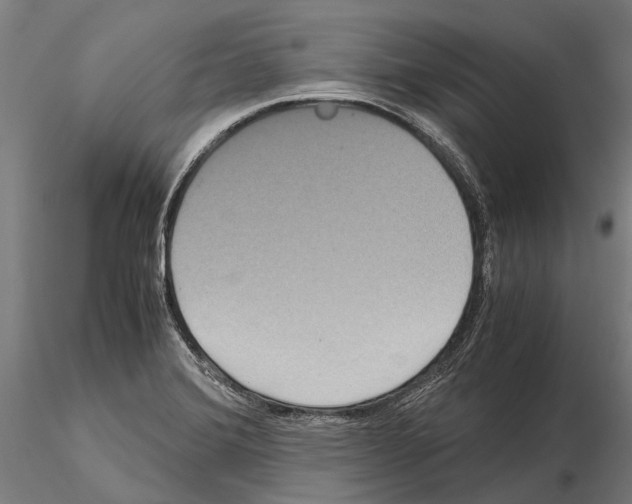 X0000115121372200912081335