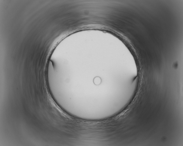 X0000115121373200912081335