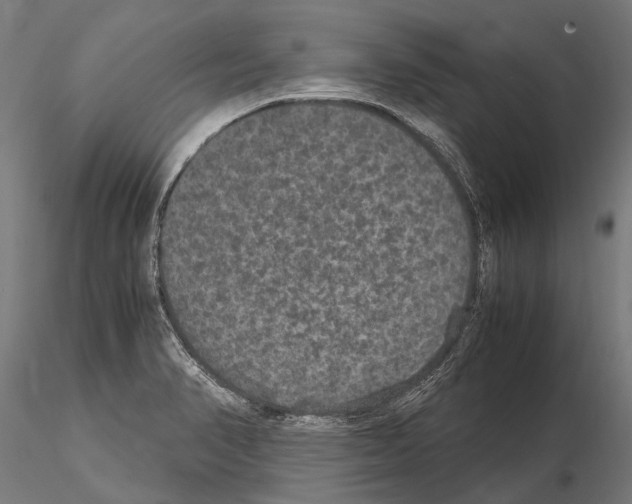 X0000115121374200912081335