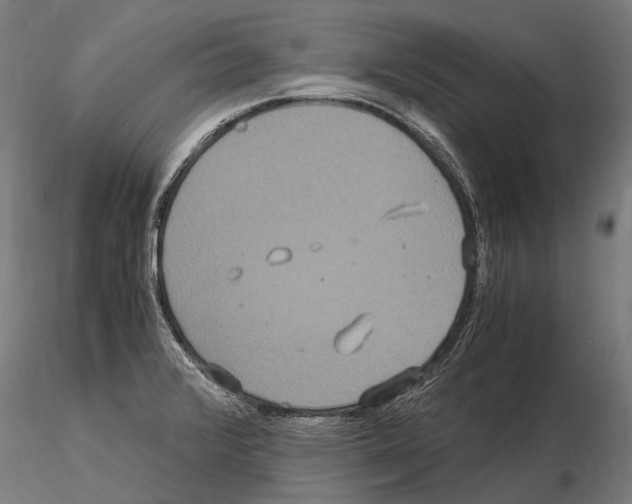 X0000115121376200912081335