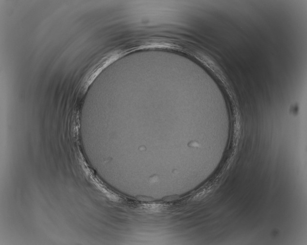 X0000115121377200912081335