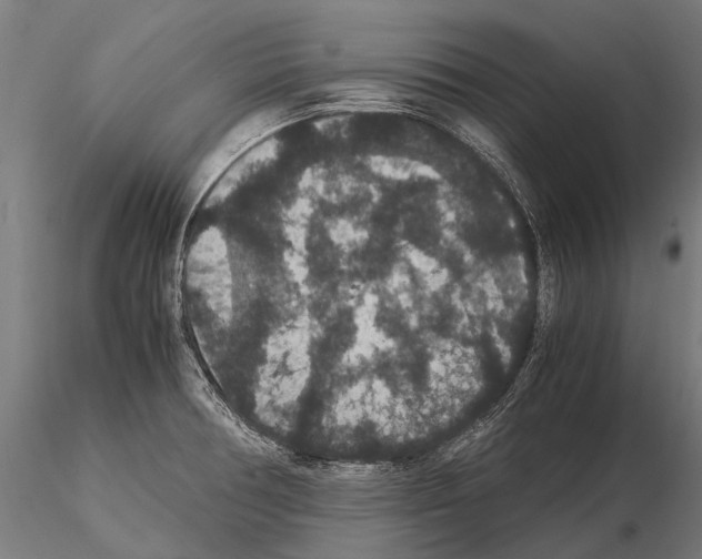 X0000115121378200912081335