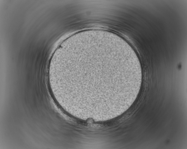 X0000115121379200912081335