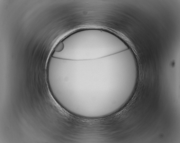 X0000115121380200912081335