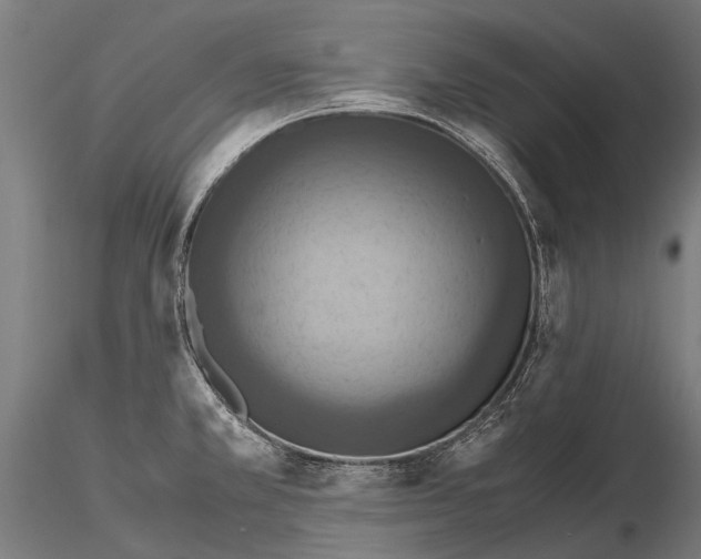 X0000115121381200912081335