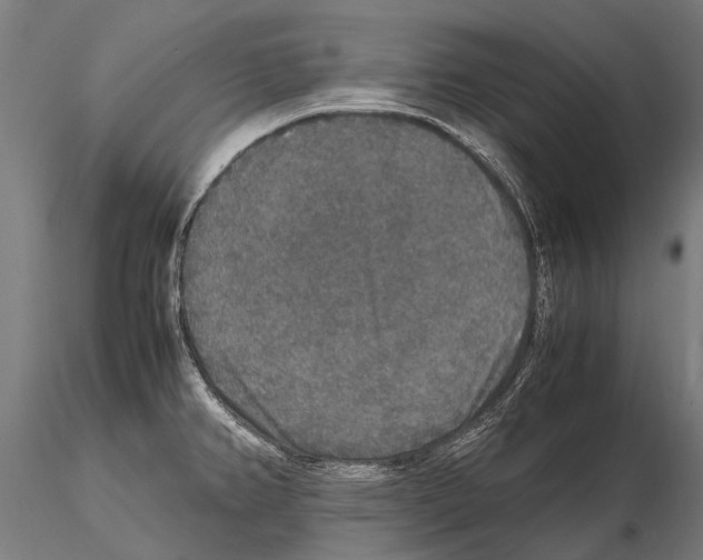 X0000115121382200912081335