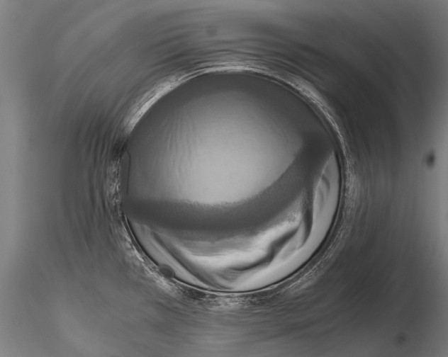 X0000115121385200912081334