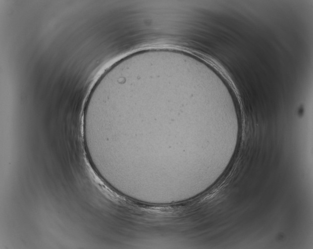 X0000115121388200912081334