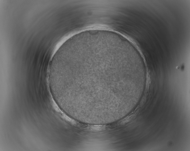 X0000115121390200912081334