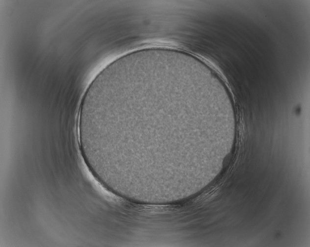 X0000115121391200912081334