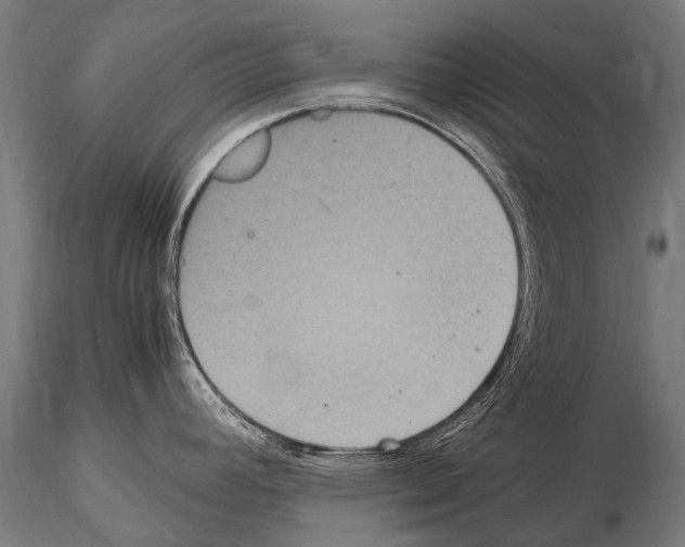 X0000115121392200912081334