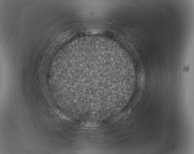 X0000115121393200912081334