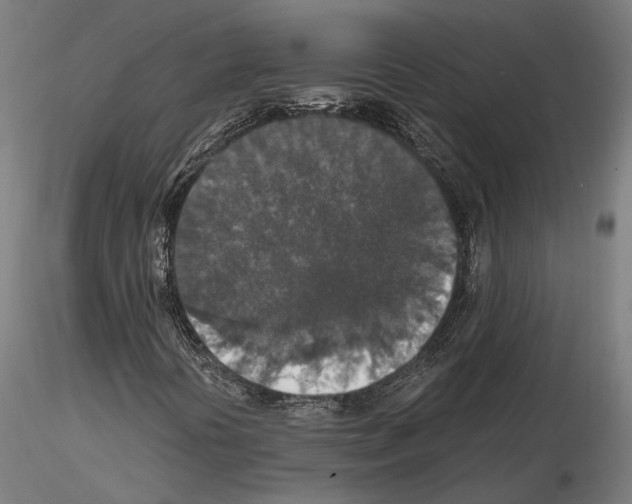 X0000115121394200912081334