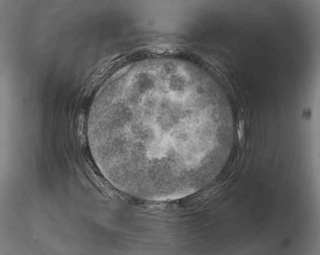 X0000115121396200912081334