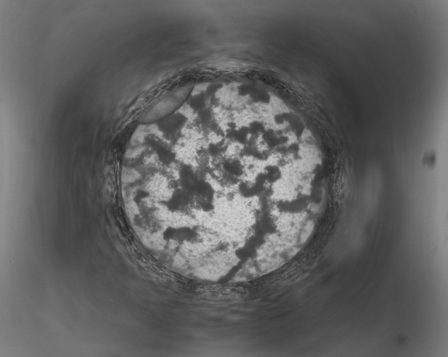 X0000115121397200912081334