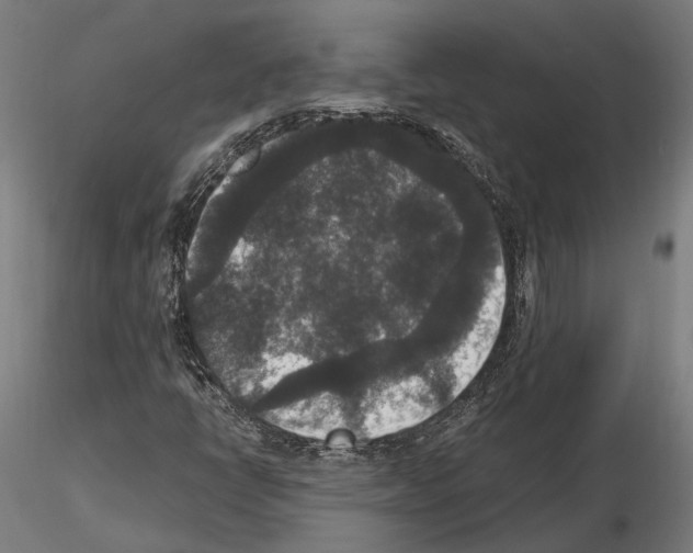 X0000115121398200912081334