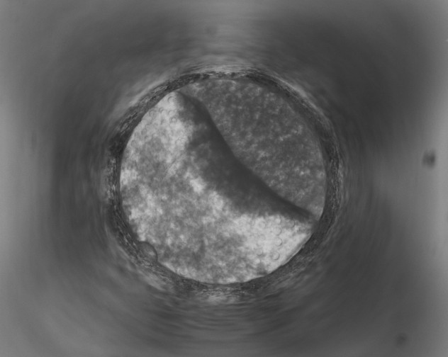 X0000115121399200912081334