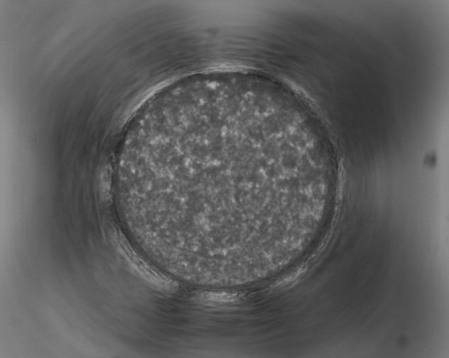 X0000115121401200912081334