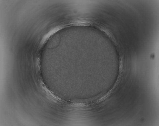 X0000115121402200912081334