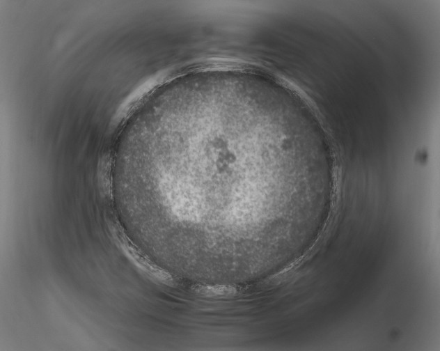 X0000115121403200912081334