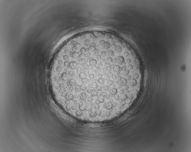 X0000115121404200912081334