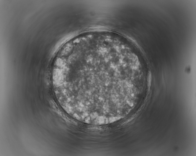 X0000115121405200912081334