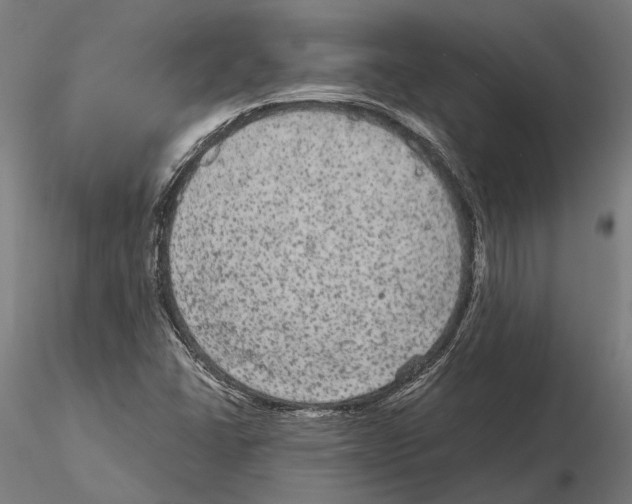 X0000115121406200912081334