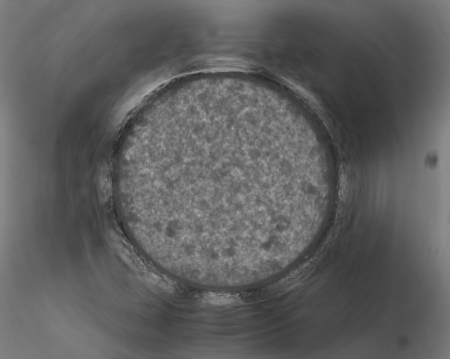 X0000115121407200912081334