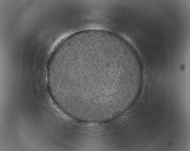 X0000115121408200912081334