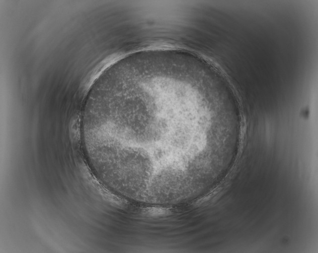 X0000115121409200912081334