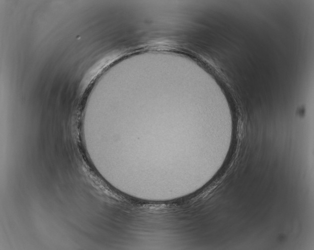 X0000115121410200912081334