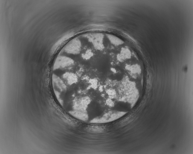 X0000115121411200912081334