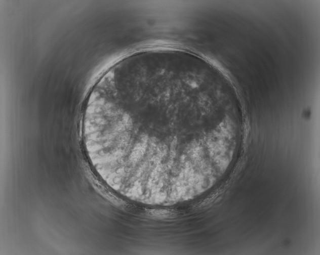 X0000115121413200912081334