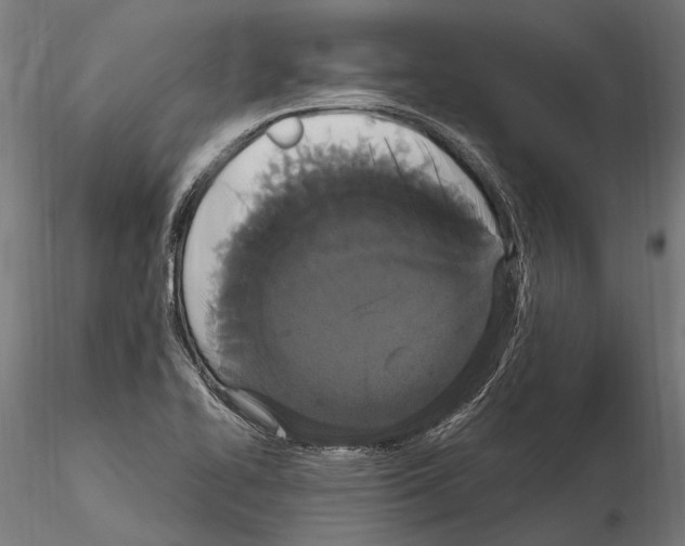 X0000115121414200912081334