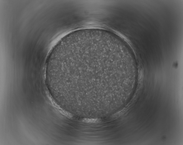 X0000115121415200912081334