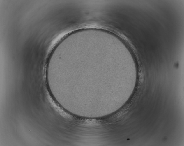 X0000115121416200912081334