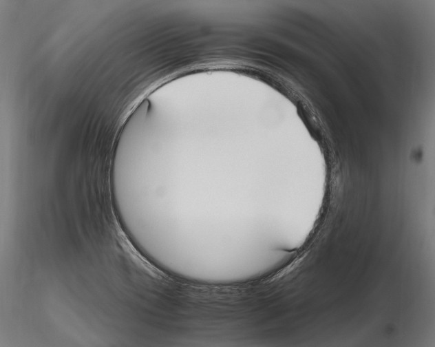 X0000115121417200912081334