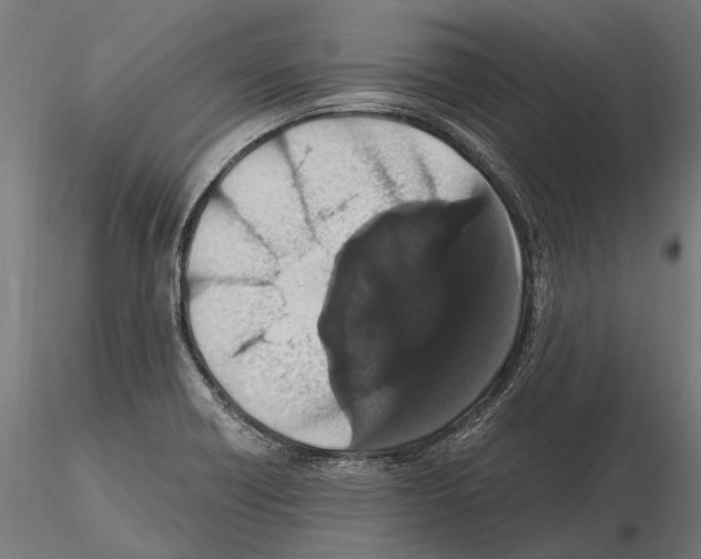 X0000115121418200912081334