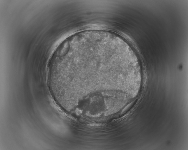 X0000115121419200912081334