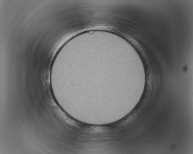 X0000115121420200912081334