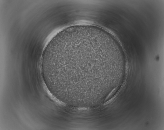 X0000115121421200912081334